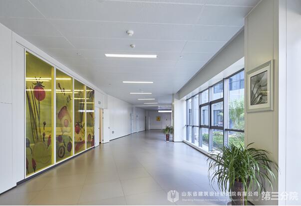 生命之花，為愛綻放——專訪棗莊婦幼設(shè)計“掌舵人”王崗