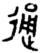 兼性思維與文化基因