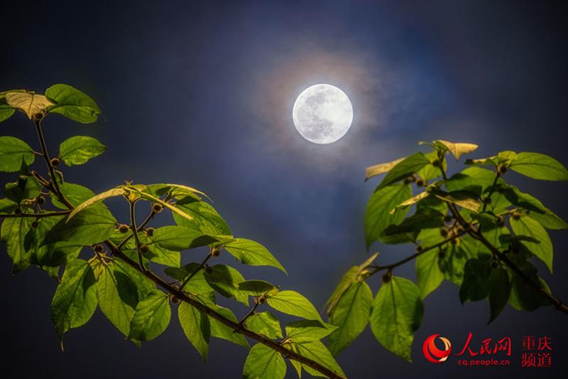 月是故鄉(xiāng)明，這一輪明月勾起了你的思念嗎？（攝于重慶渝中）。 戴建峰攝 