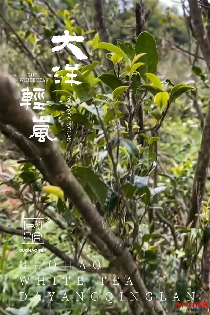 微信圖片_20210819160327.jpg