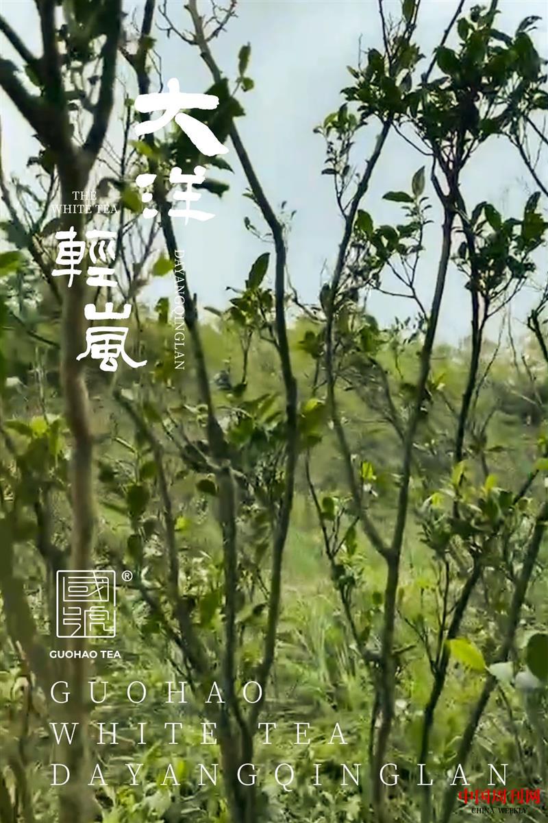 微信圖片_20210819160333.jpg