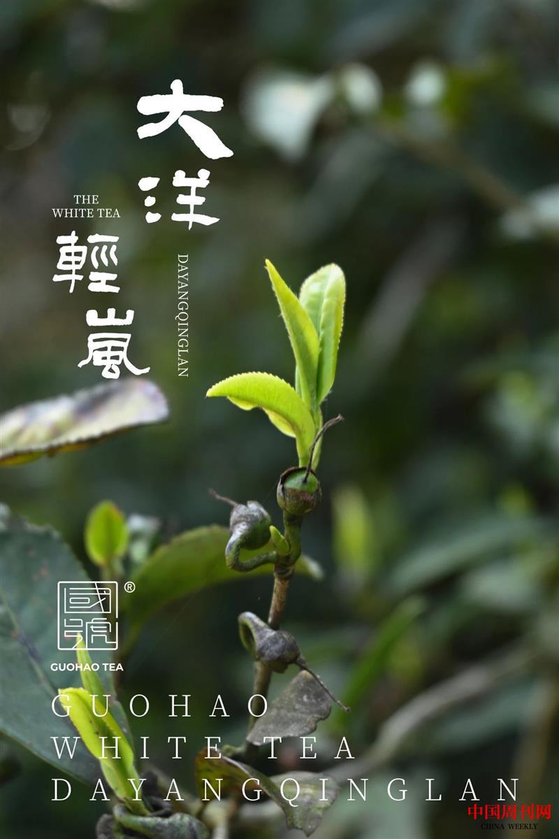微信圖片_20210819160339.jpg