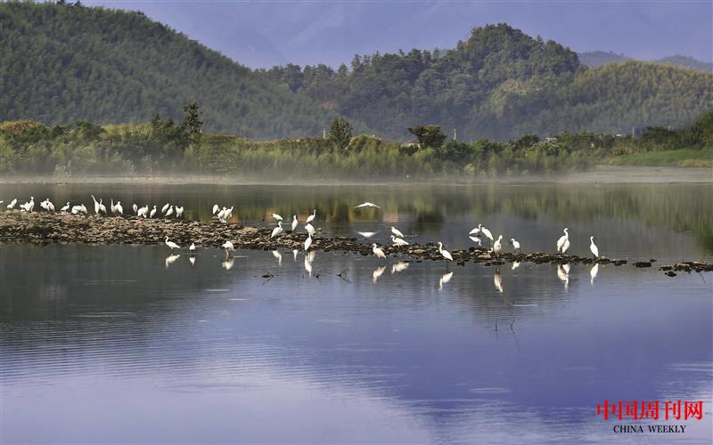 生態(tài)臺州.JPG