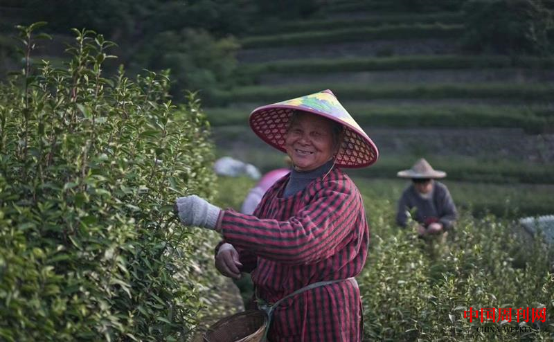 圖片4.png