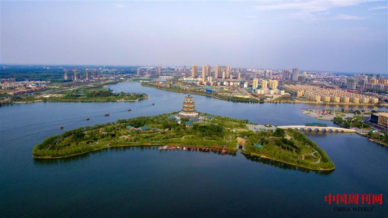 成武文亭湖觀鳥(niǎo)基地.jpg